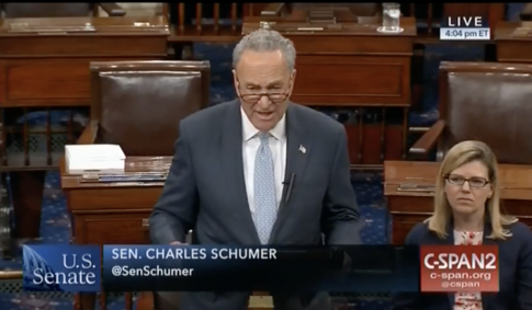 Schumer Takes Shot at Waters Over Calls to Harass Trump Officials: 'That's Not American'
