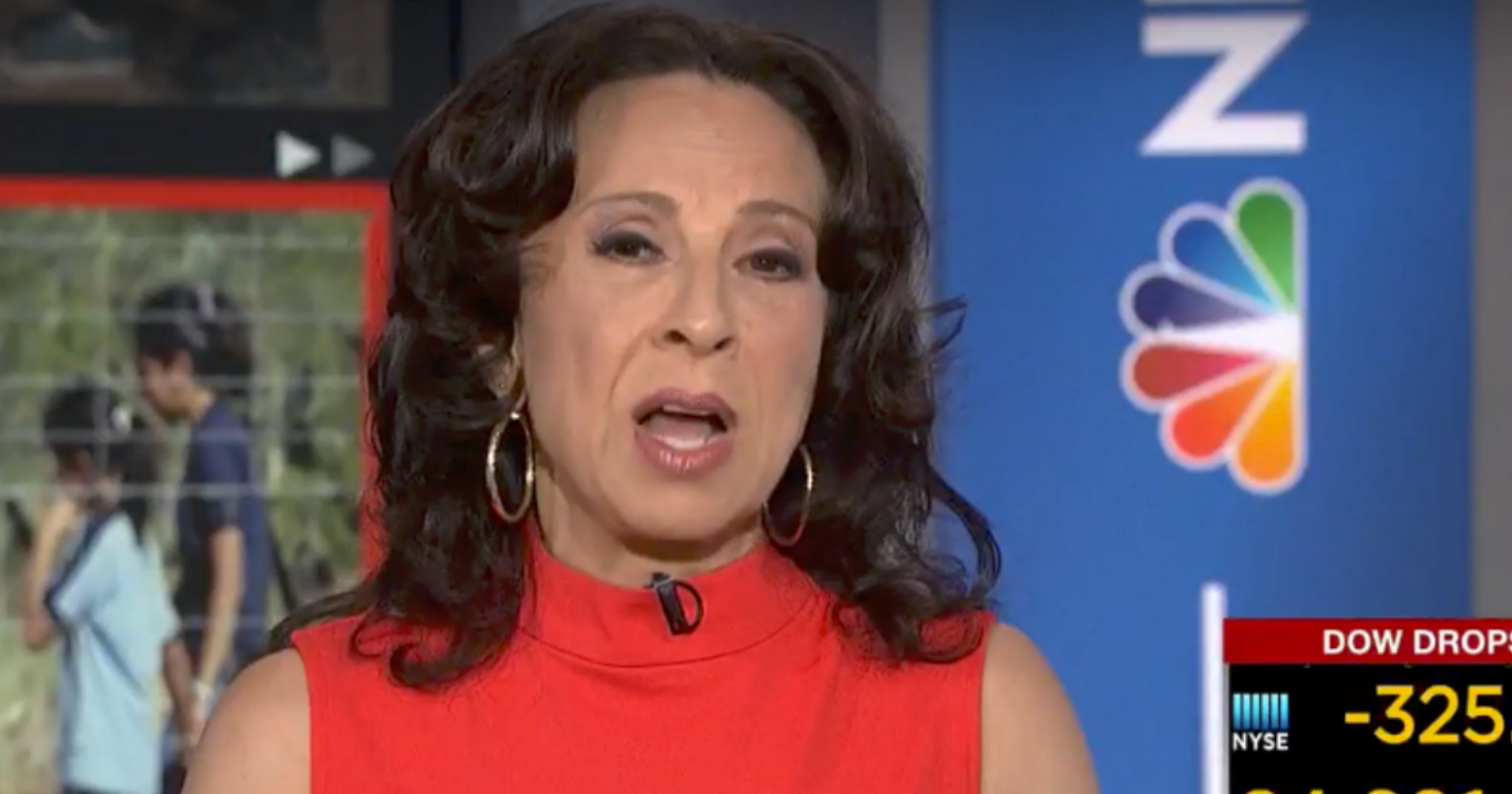 NPR Host Says She's Worried About Pedophiles Getting Jobs at Migrant Shelters