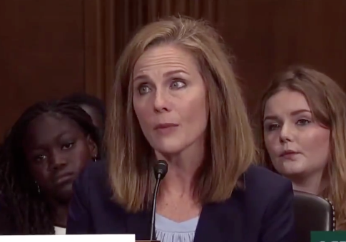 NAACP Falsely Claims Potential Trump SCOTUS Nominee Ruled Against Black Worker's 'Separate-but-Equal' Claim