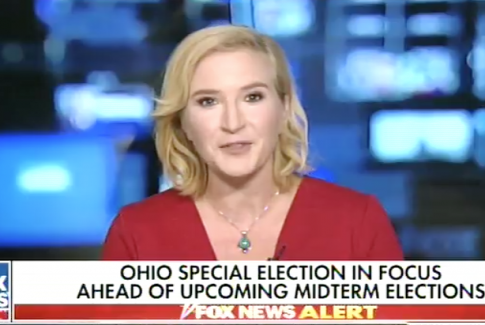 Harrington: Dems Will Falter in Midterms if Party's Platform Is 'Hatred of Trump'