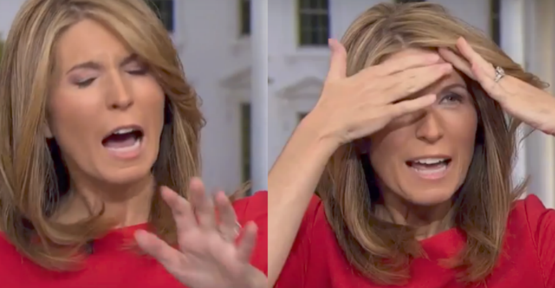 MSNBC Host Nicolle Wallace Angrily Bans Clips of Sarah Sanders From Her Show