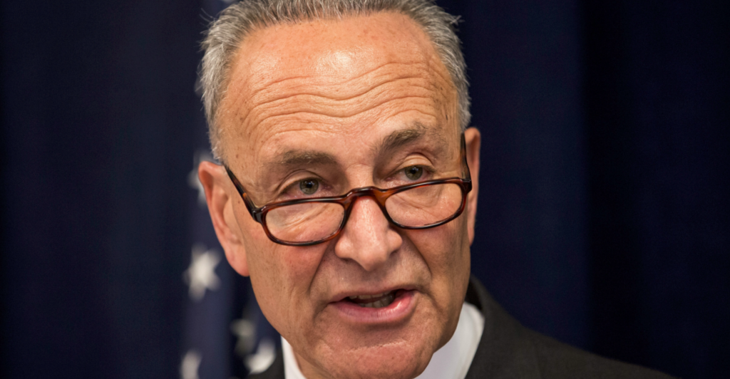 Senator Schumer: Roe v. Wade Is Part of ‘Fabric of American Life’