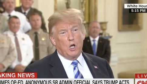 Trump: No One Will Come Close to Beating Me in 2020, Anonymous Op-ed Writer Is 'Gutless'