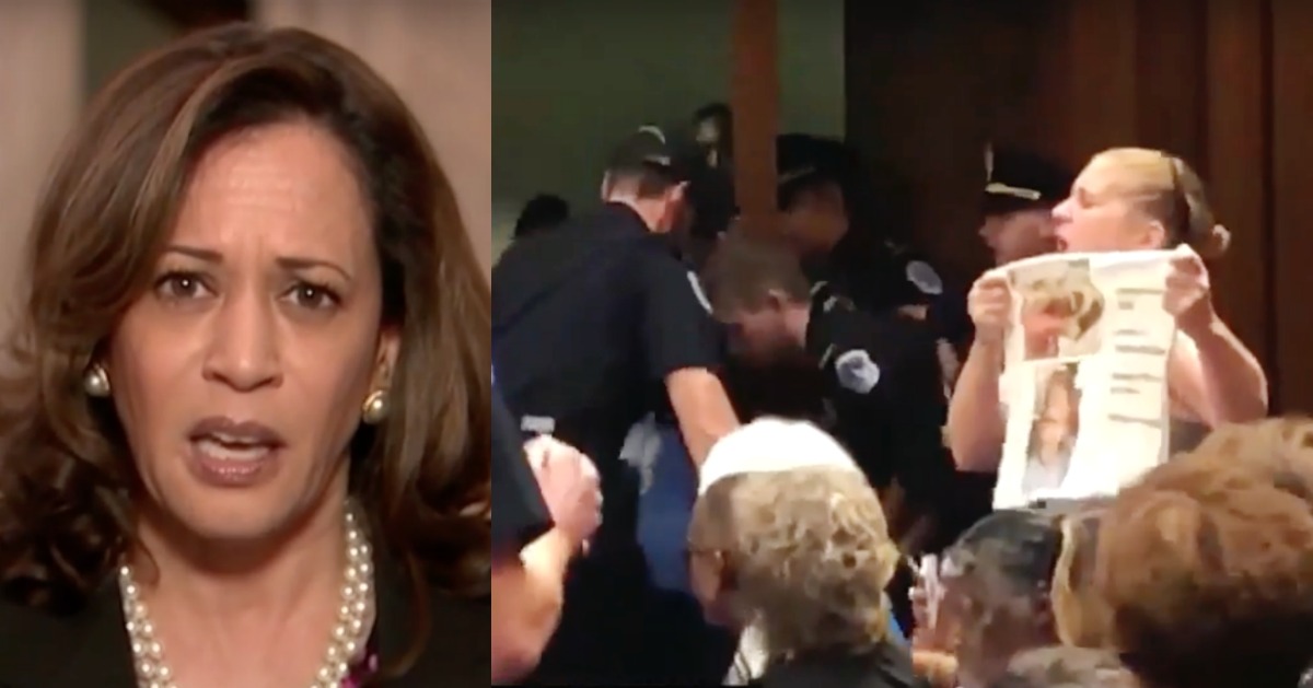 Sen. Harris Rejects Description Of Protesters As ‘Hysterical’ While MSNBC Shows Clip Of Them Screaming