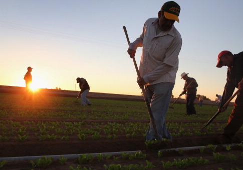 Gerawan Farm Workers Shed Union