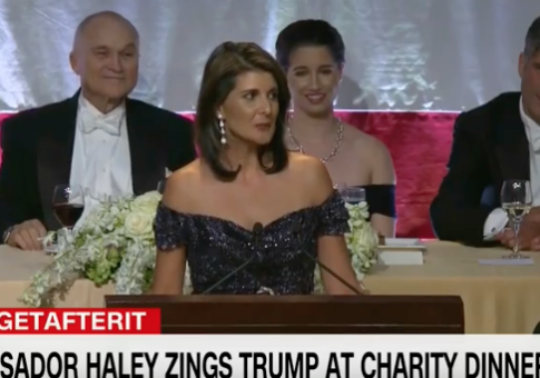 Nikki Haley Mocks Warren at Charity Dinner: 'You Wanted an Indian Woman, but Elizabeth Warren Failed Her DNA Test'