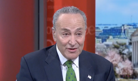 Schumer: 'There Is Too Much Political Correctness in This Country'