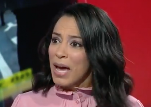 CNN Commentator Blames Trump for Pipe Bombs: This 'Rhetoric Is Not Coming From All Sides'