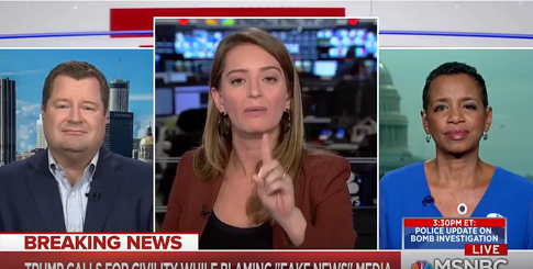 MSNBC Host Erupts When Pressed on Inflammatory Rhetoric From the Political Left