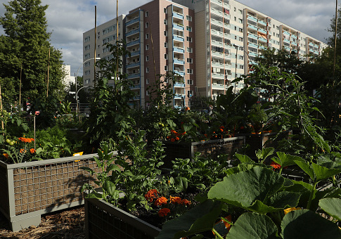 Feds Spend $245,331 to Boost Kids' Self-Esteem By Teaching Them 'Sustainable Gardening'