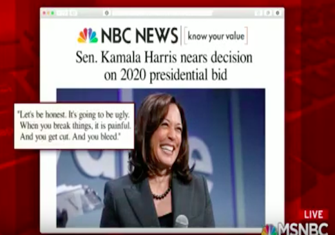 Kamala Harris Will Decide on 2020 Run by End of the Year