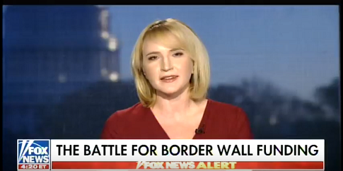 Harrington: Border Wall More Popular With American People Than Media Think