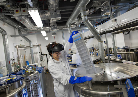 Federal Agency Spends $62.5 Million on 'Intersectionality' and STEM