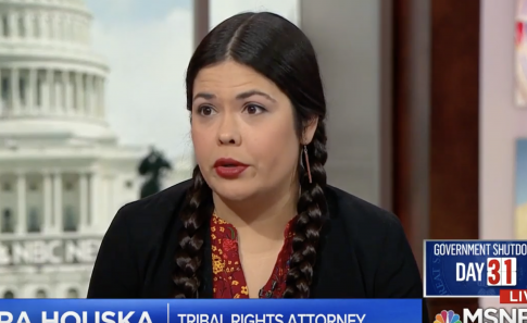 MSNBC Guest Repeats Unproven Claims Teens Surrounded Native American, Chanted 'Build the Wall'