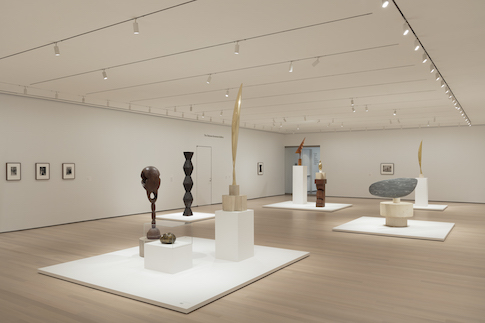 Finding the Essence of Art