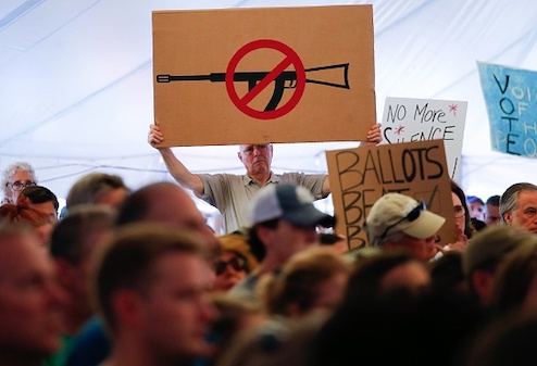 House Passes Gun-Control Bills