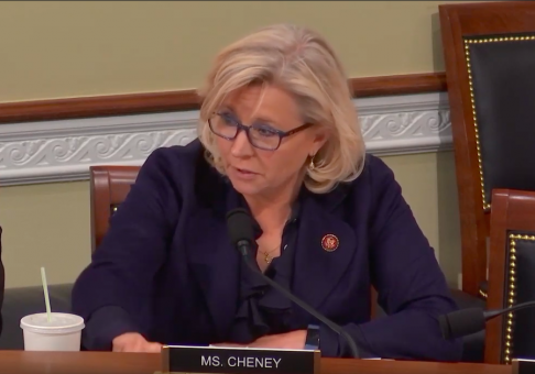 Cheney Questions Climate Change Panelists on Green New Deal, Wonders if They Support 'Vacation Commissar'