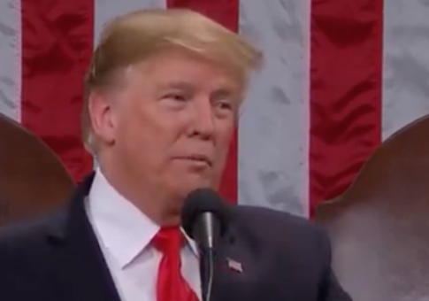 Trump Slams 'Ridiculous Partisan Investigations' During State of the Union