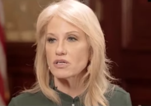 Kellyanne Conway Describes Alleged Assault at Restaurant: She Was 'Screaming Her Head Off'
