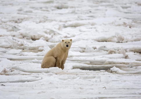 House Dems Fail to Show Up For Their Own Climate Change Hearing