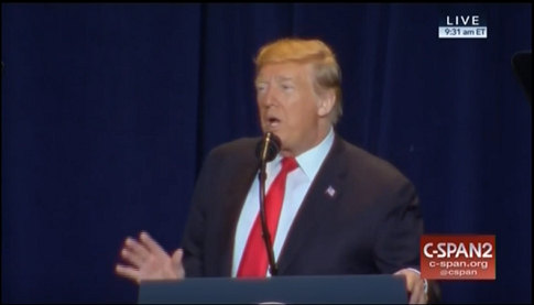 Trump: 'We Will Always Protect Our Country's Long and Proud Tradition of Faith-Based Adoption'