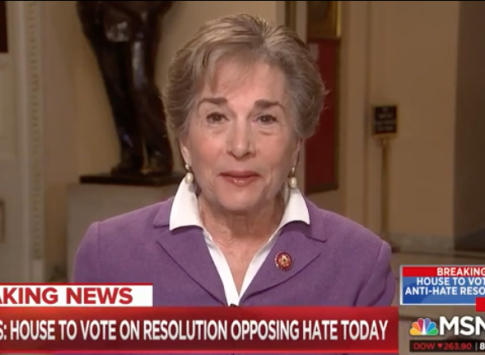 Schakowsky (D) Defends Omar's Anti-Semitic Comments: 'She Comes From a Different Culture'