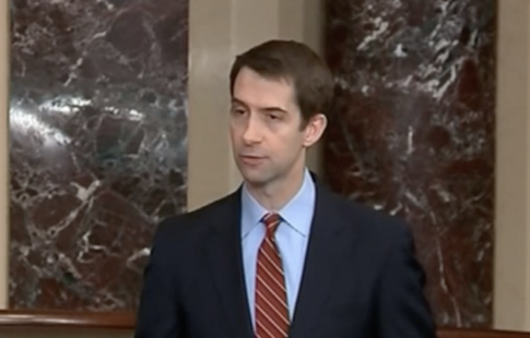 BEASTMODE: Cotton Blasts Robert Francis O'Rourke for Suggesting Tearing Down Existing Border Wall