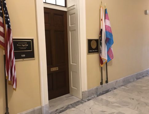 Dem Offices Remove POW Flags, Replace With Transgender Pride Flags