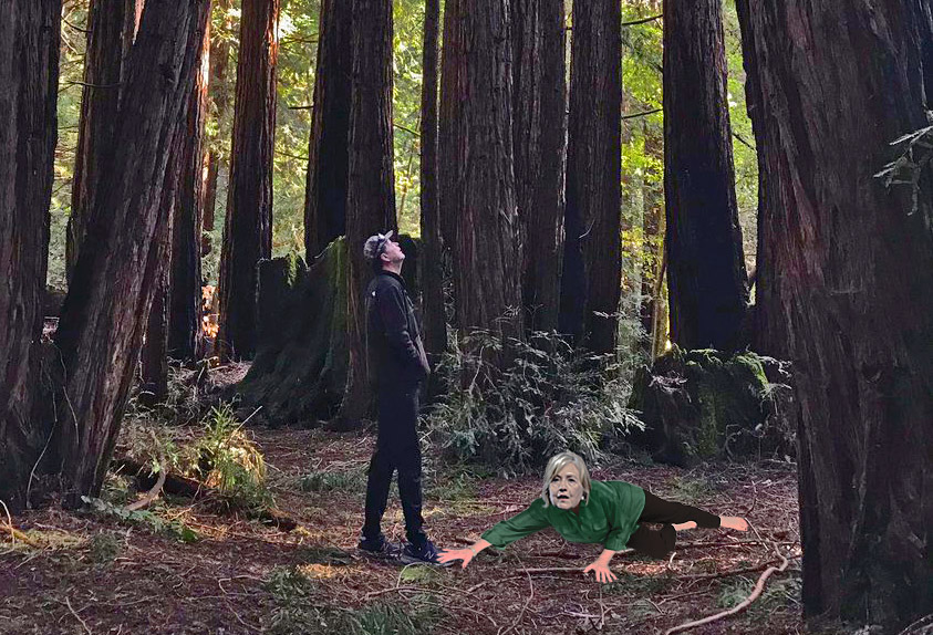 The Woodsman's Wench: When James Met Hillary