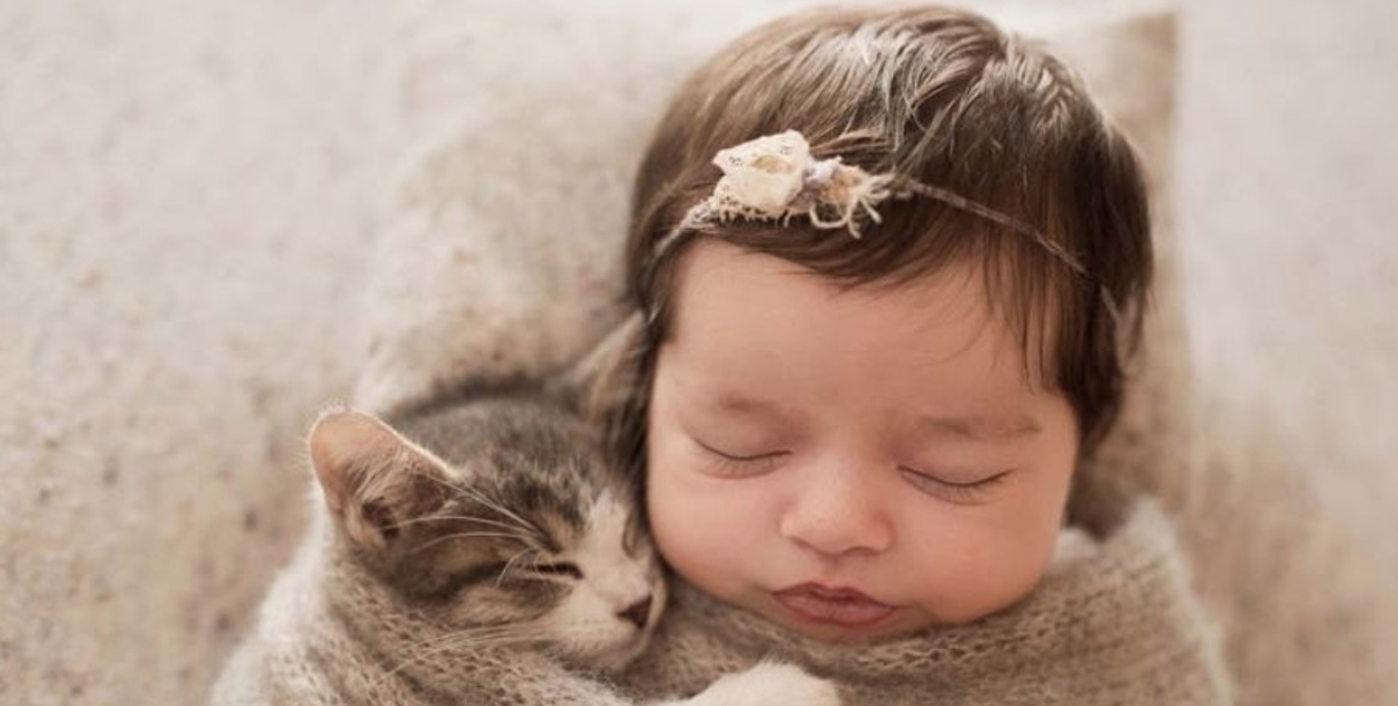Dems Spurn Bill Protecting Infants Born Alive But Rush to Protect Kittens