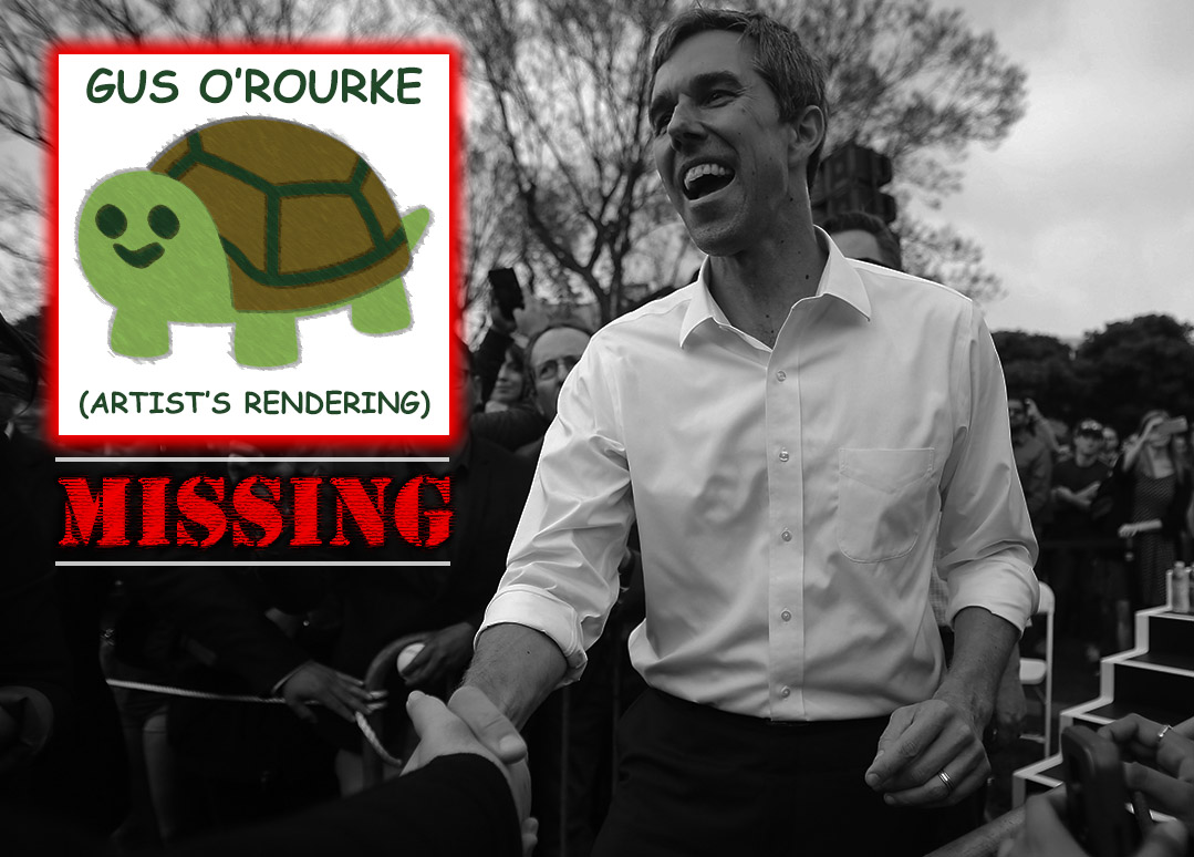Beto O'Rourke Has A Turtle Problem