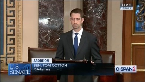 Cotton Denounces Corporate Activism on Abortion