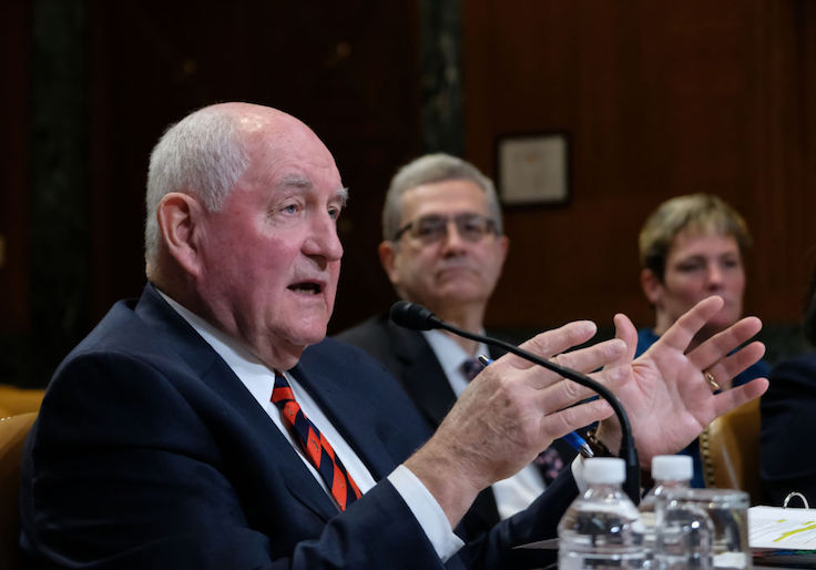 Trump Admin Moves to Close SNAP Loophole