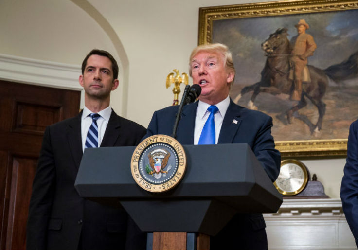 Cotton: Greenland Purchase Would 'Secure Vital Strategic Interests'