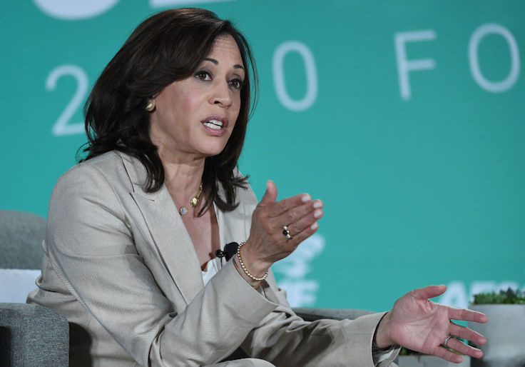 Kamala Harris 'Proud' of California’s Misspent Relief Money