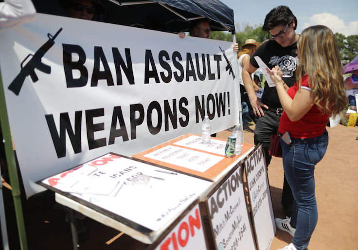 Guns and the 'New Class'