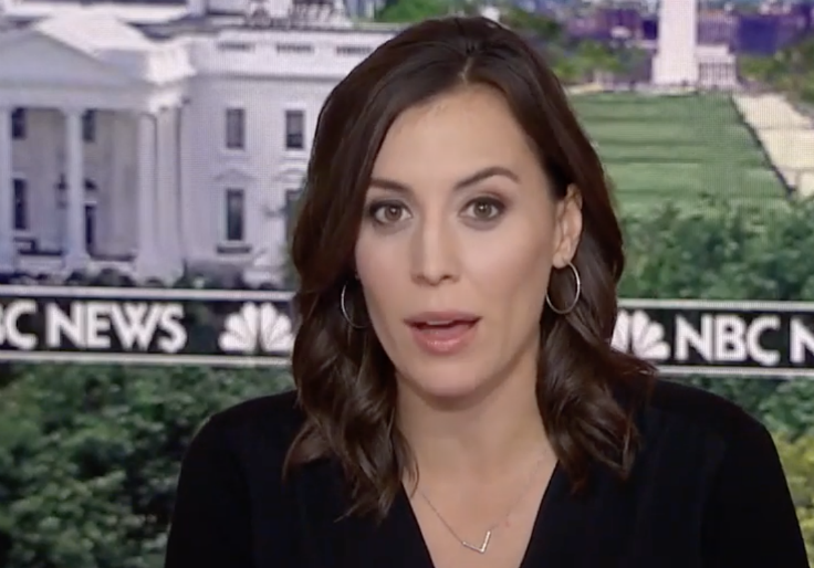 MSNBC: Harris Is Prioritizing Fundraising Over Campaigning