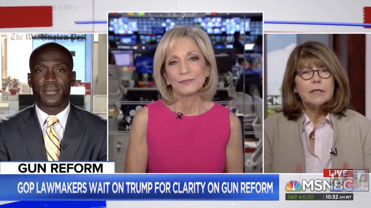 Mitchell: Beto's Gun Remarks Make Passing Gun Control Harder