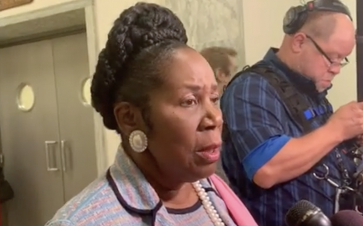 Jackson Lee: AR-15s Weigh as Much as 10 Moving Boxes