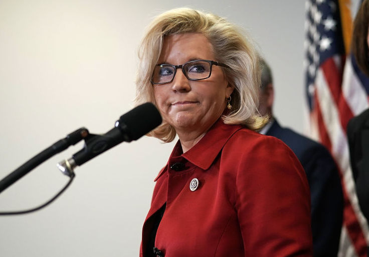 Rep. Liz Cheney Leads in Senate Poll