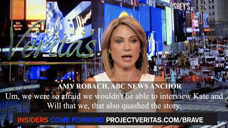 ABC News Anchor Reveals Network Buried Epstein Accuser Interview