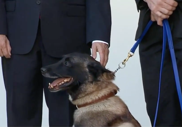 Trump Honors Conan the Heroic Dog and 'Ultimate Fighter'