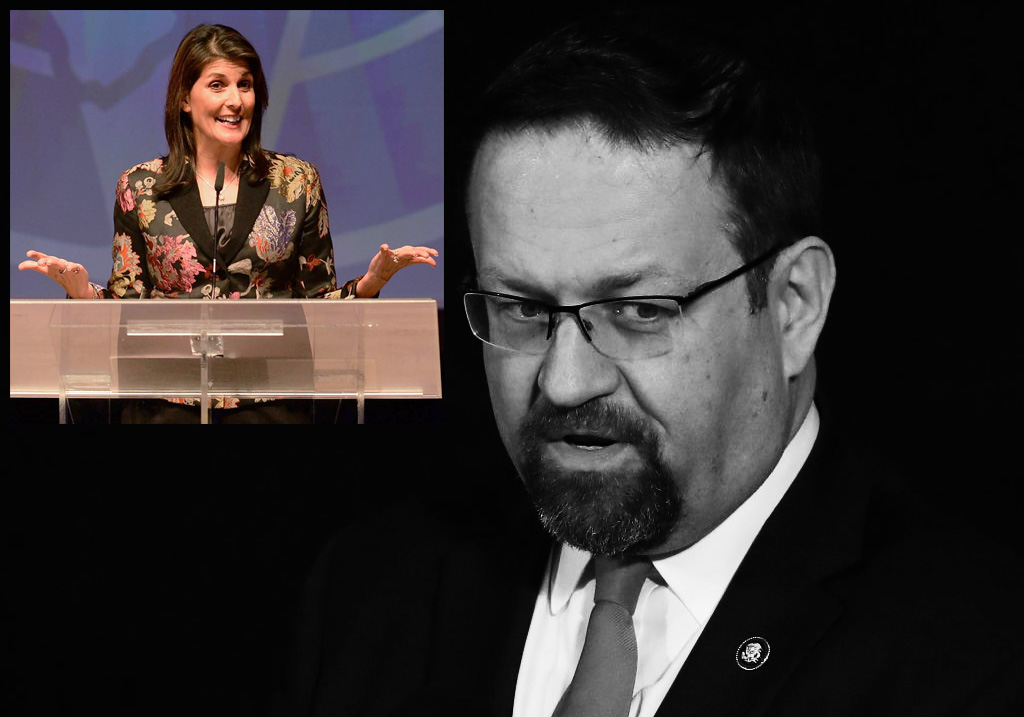 Gorka Owned, Analysis Finds