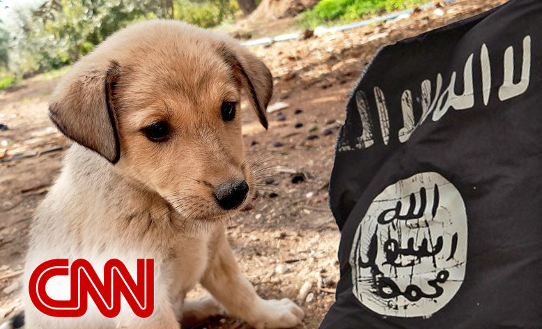 Sympathy for the Devil: CNN Publishes Sappy Puff Piece on ISIS Dog