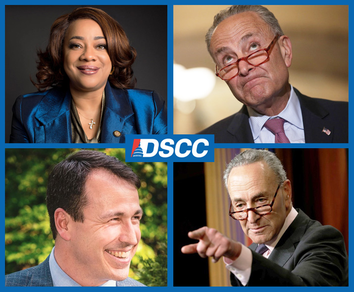 Schumer Successfully Blocks Black Woman From N.C. Senate Nom