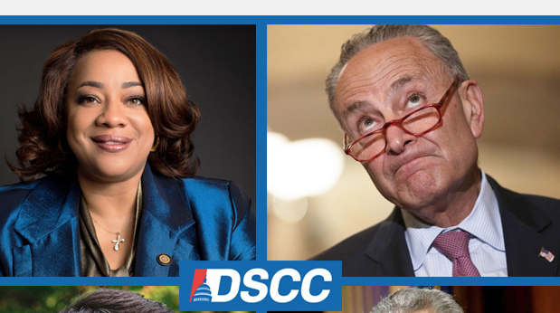 Dem Candidate: Chuck Schumer Doesn't Think a Black Woman Can Win in North Carolina