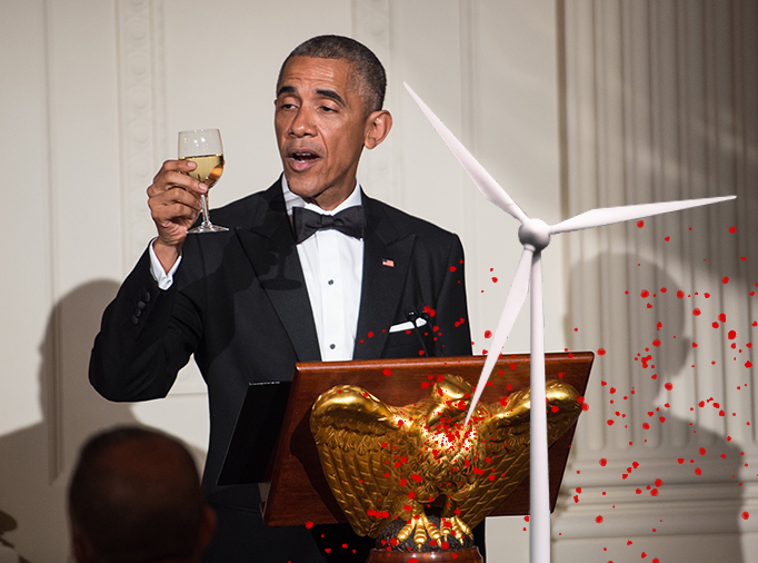 REPORT: Obama's Bird-Killing Death Machines Bad for Environment