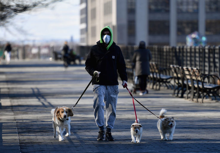FDA Spent $10K on Dog Urine Two Days After First U.S. Coronavirus Death
