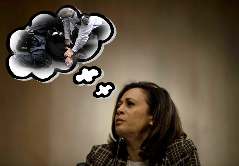 Report: Kamala Harris Bored as Senator, Misses Being Able to Lock People Up