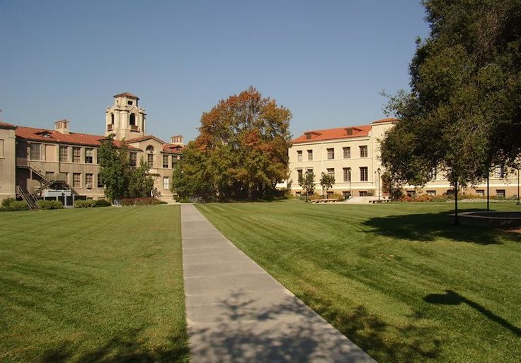 College Stands by Student Leader Who Claimed Jews 'Worship' WW2